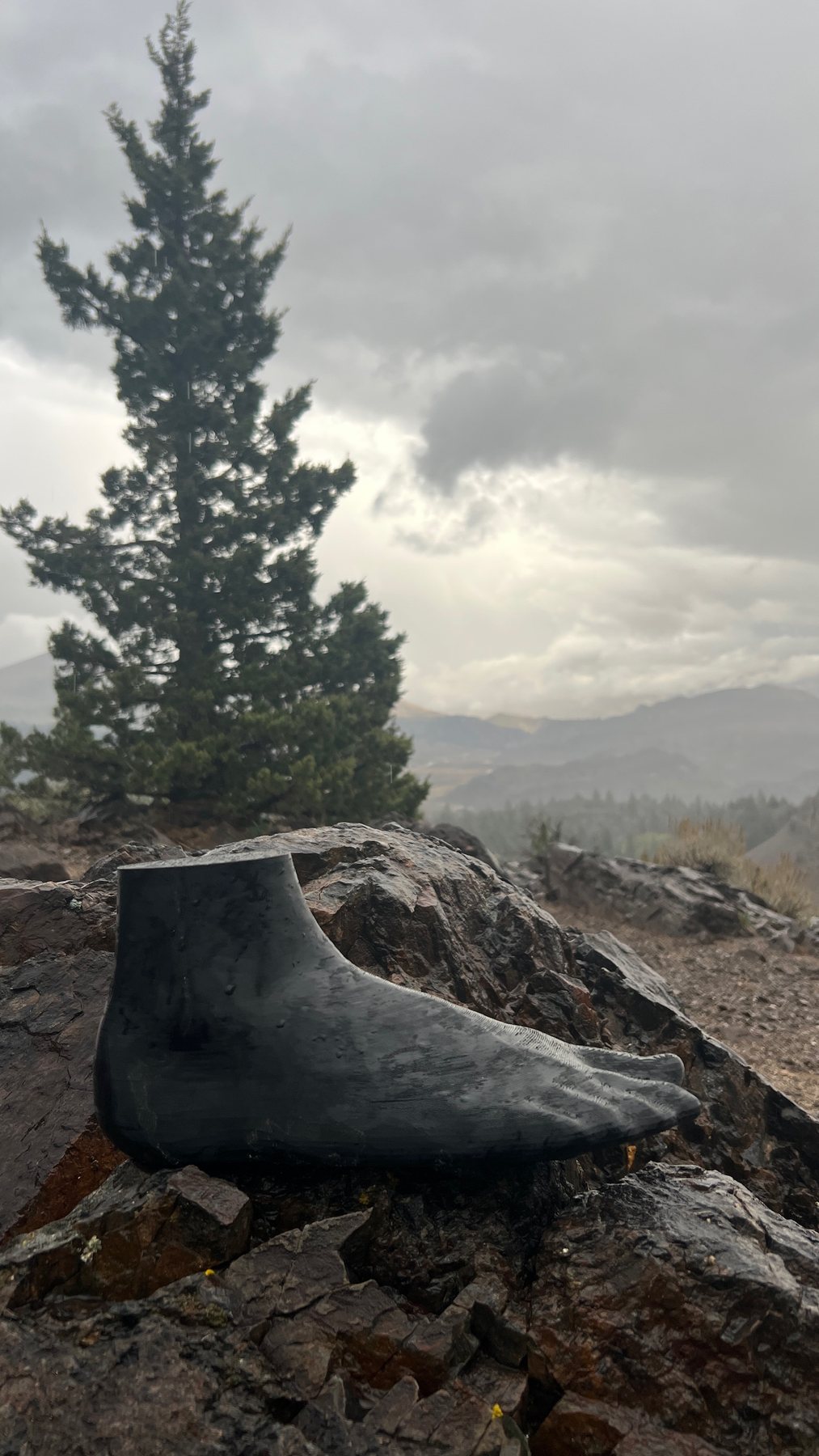 A 3D printed foot model resting on wet rocks with mountains in the background